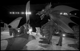 Mahogany Carnival Arts – One-derland