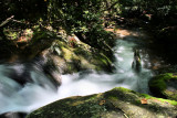 IMG_5078.JPG