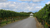 Pellegrini Vineyards, Cutchogue