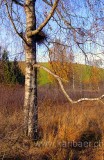 Egelsee (9395)
