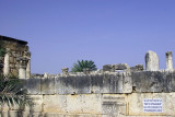 Synagogue Ruins, Capharnaum