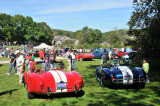 Two of several Shelby Cobra reproductions