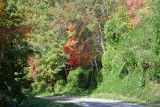 Day trip around Blue Ridge Georgia and North Carolina