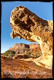 Rock eats rock! Capitol Reef NP, Utah - Scenic Drive