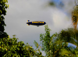 yes even the Blimp made it over the yard going to aTrump Golf Tournment !?!