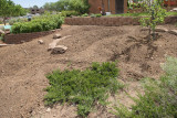 Herb Garden Landscaping (8822)