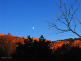 Moon Rise