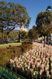 ahhh landscaping