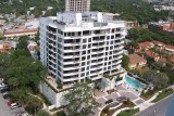 Savoy on Palm