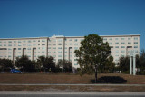 Jacaranda Trace