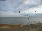 View from Sheerness Yacht Club