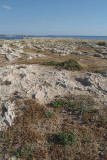Akamas Peninsula Coastline 41
