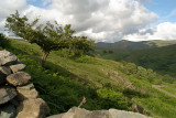Countryside Lake District 38