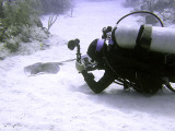 Videoing a Ray 2