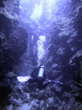 Swimming Up at Cathedral