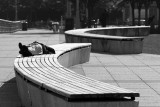 Christopher Street Pier Benches