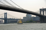 Manhattan & Brooklyn Bridges