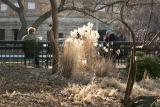 Winter Garden