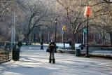 Morning Walk through the Park
