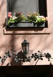 Flower Box