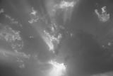 Late Afternoon