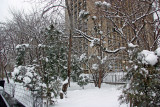 Garden View - 505 LaGuardia Place Coop