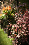 Flower Show