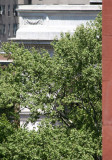Washington Square Arch & Corner of NYU Library