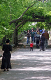 Promenade along the Lake Shore