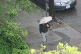 Umbrella Day