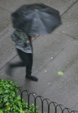 Umbrella Day