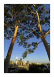 Kings Park, Perth