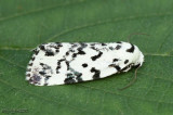 The Hebrew Polygrammate hebraeicum #9285