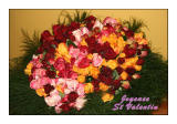 Valentine's Day / Saint Valentin