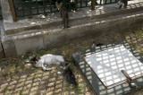 Istanbul june 2009 2487.jpg