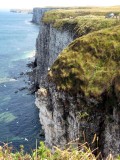 BEMPTON CLIFFS