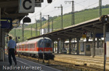 Germany 2009