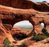 Partion Arch Vertical.jpg