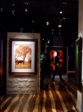 Peter Lik Show at the Venetian
