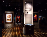 Peter Lik Show at the Venetian