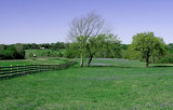 Miles of Fence