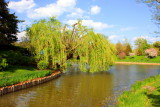 Chicago Botanical Garden from the ZigZag Bridge