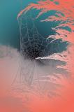 Using-blend-modes4fun.jpg