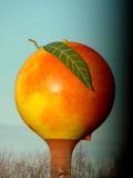 Gaffney SC peach 3077