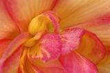 7/18/06