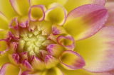 7/18/06