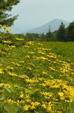 7/27/06 - Old Rag, Shenandoah National Park