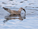 IMG_3507 Gone Fishin'.jpg