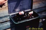 Vintage Beverages in a Vintage Cooler