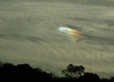 Sundog Phenomena